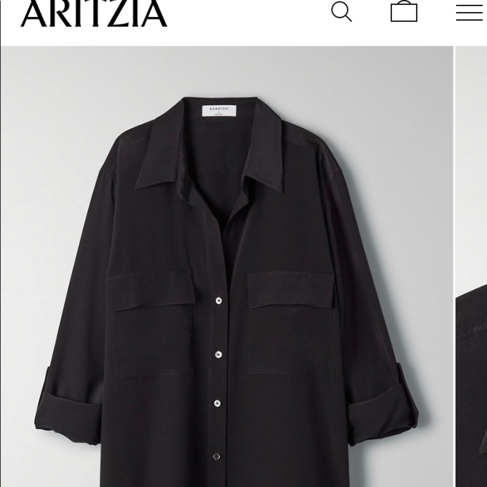 Aritzia Silk Button-Up